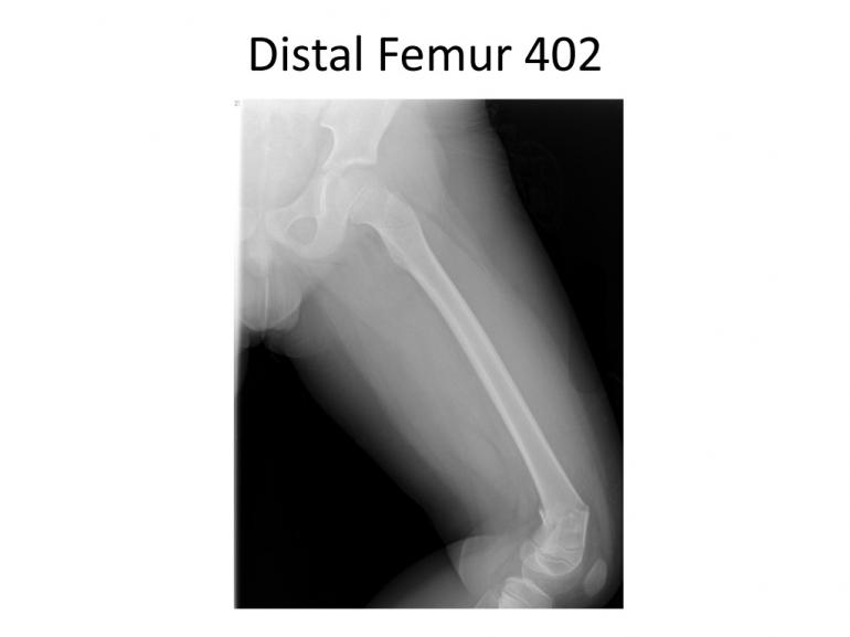 x-rays-7-5-11-22