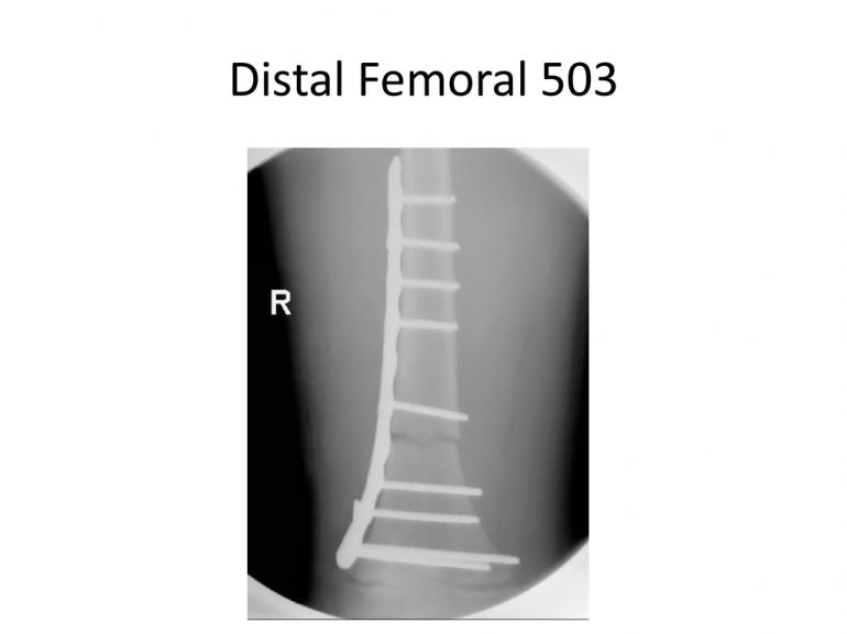 x-rays-7-5-11-27