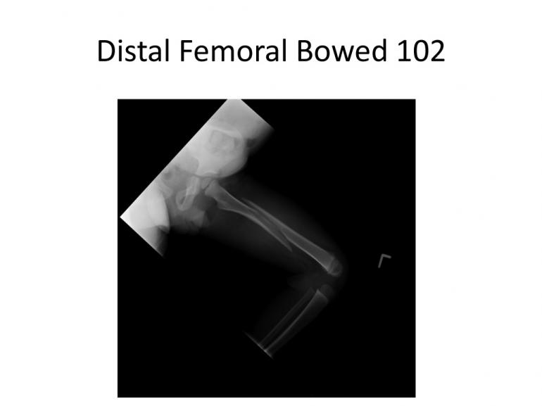 x-rays-7-5-11-45